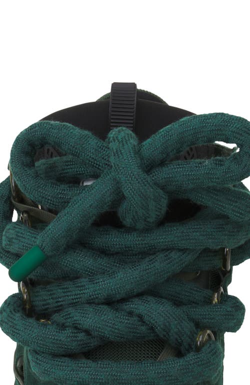 Lanvin Curb Sneakers In Leather With Snake Laces In Green