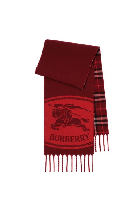 Reversible Knight Stamp Scarf