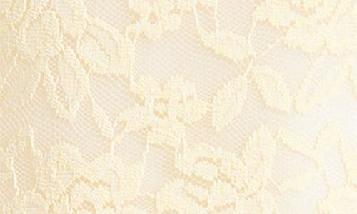 Lioness Midnight Long Sleeve Semisheer Lace Minidress In Butter