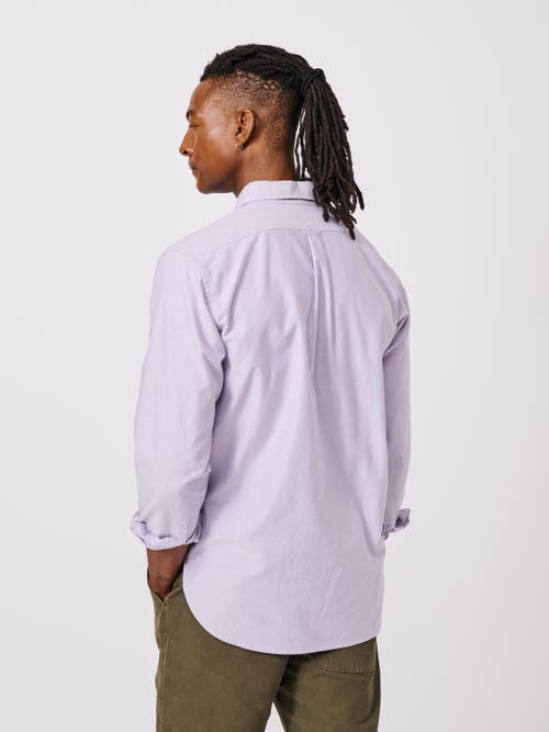 Aubin Aldridge Oxford Button Down Shirt In Purple