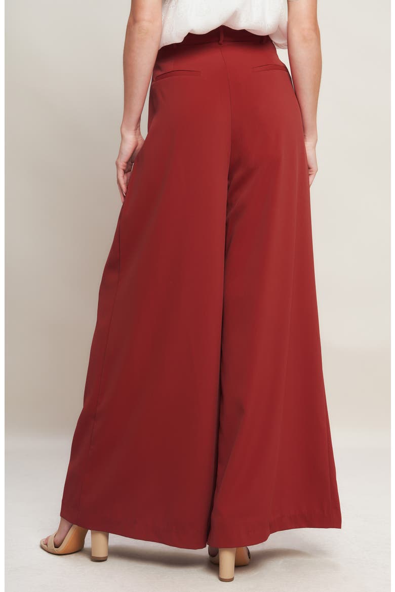 Pleated Front Wide Leg Pants, Alternate, color, RUBY
