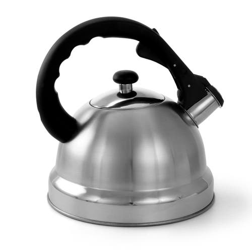 Mr Coffee Claale 2.2 Quart Brushed Stainless Steel Whistling Tea Kettle With Nylon Handle In Silver