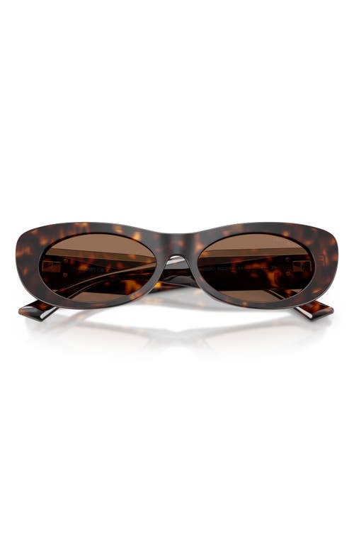 Jimmy Choo Jc 5038bu 500273 54mm Womens Oval Sunglasses In Brown