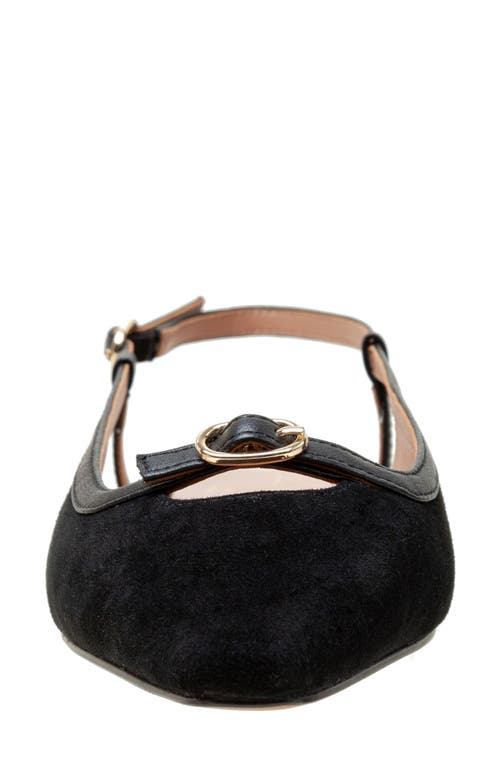 Linea Paolo Cassidy Pointed Toe Slingback Flat In Black