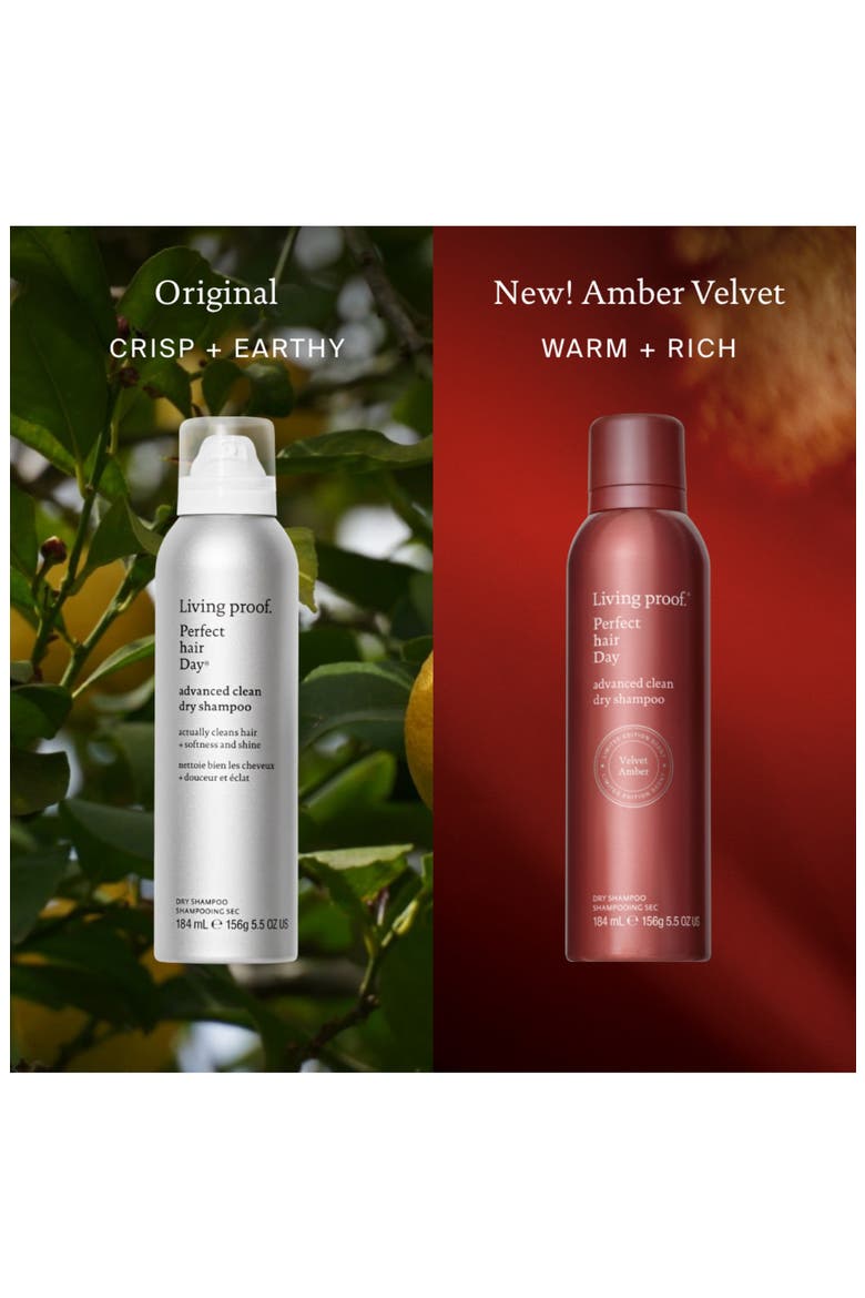 Perfect hair Day Advanced Clean Dry Shampoo in Amber, Alternate, color, NO COLOR