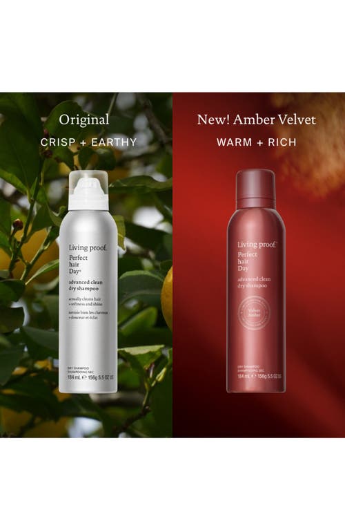 Living Proof Phd Dry Shampoo In Velvet Amber 5.5 Oz/184 ml In Transparent