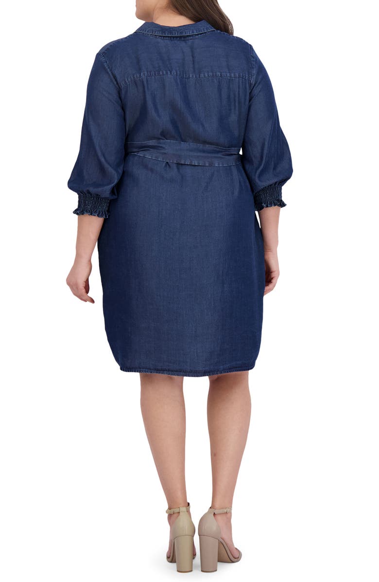 Foxcroft Abby Belted Long Sleeve Shirtdress, Alternate, color,