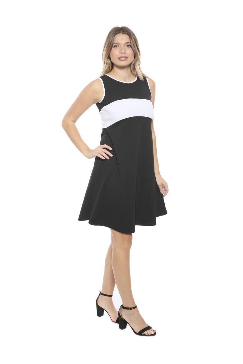 Womens Sleeveless Round Neck Knee Length Soft Flare A-Line Dress, Alternate, color, Black