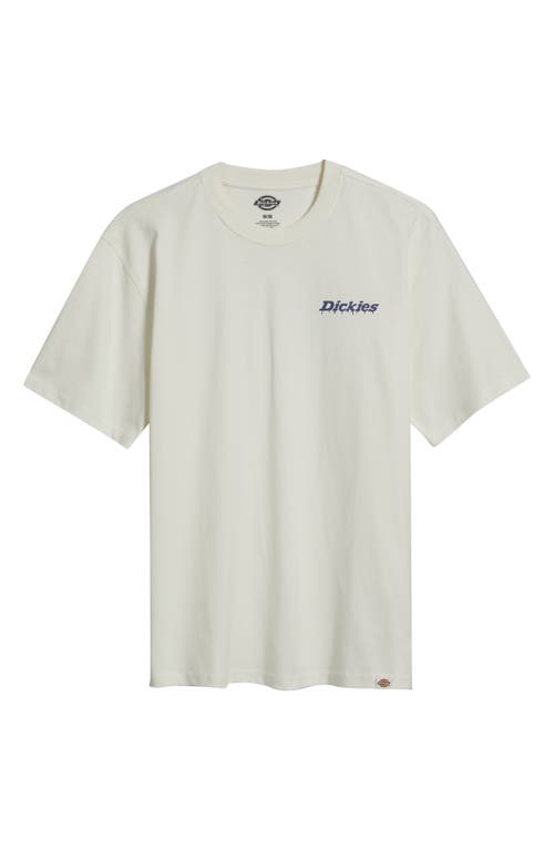 Dickies Statesville Graphic T-shirt In White