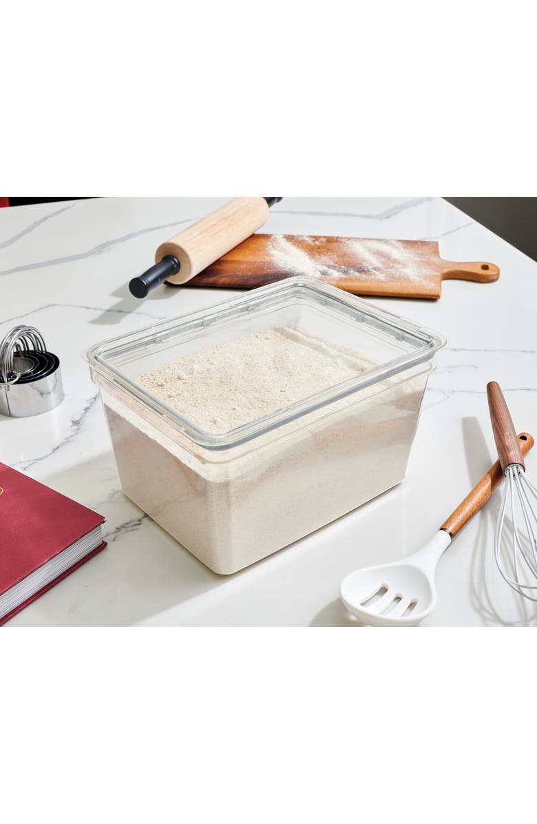 iDesign Large Food Storage Bin with Airtight Lid - Set of 4 - Clear, Alternate, color, Clear
