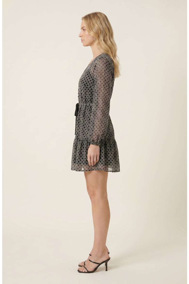 Polka Dot Embroidered Lace V-Neck Tie Waist Dress, Alternate, color, Black