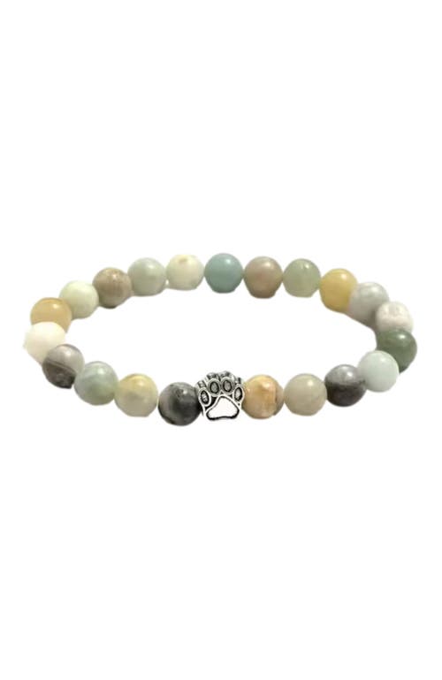 Hollywood Sensation Pawzee Beaded Bracelet With Paw Charm In Multicolor