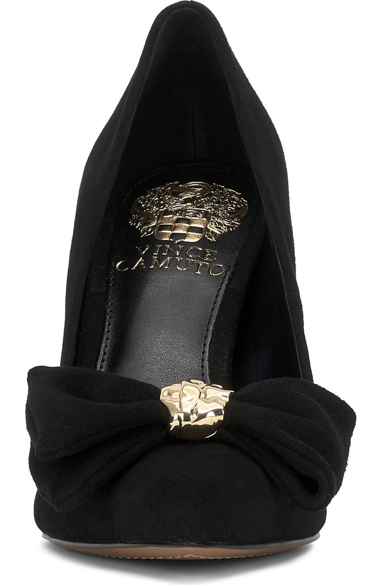 Vince Camuto Haylez Pointed Toe Pump, Alternate, color, Black