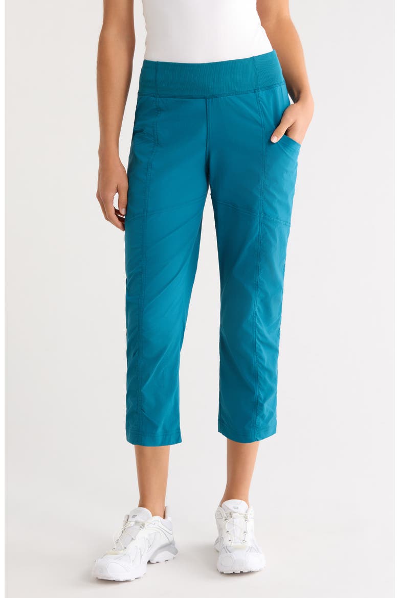 Koen Capri Pants, Main, color, BLUE CORAL