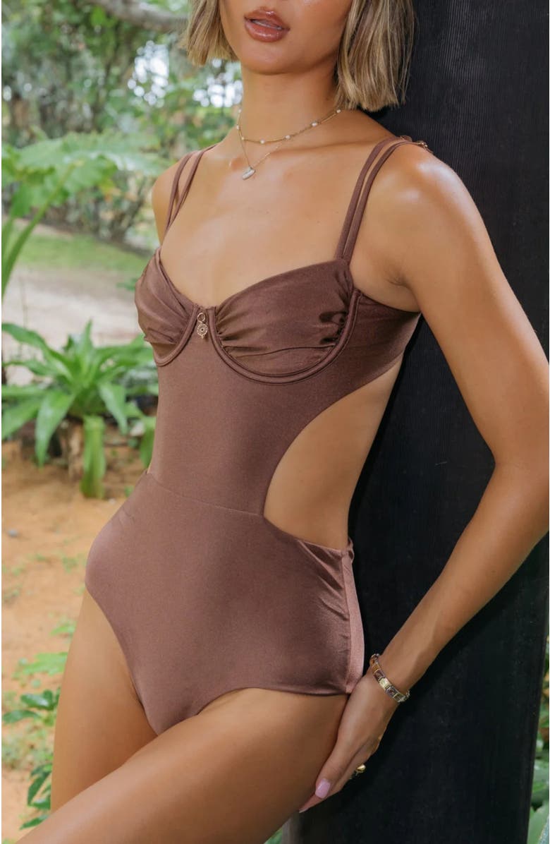 Ivy Swimwear Noa Monokini, Alternate, color, Brown