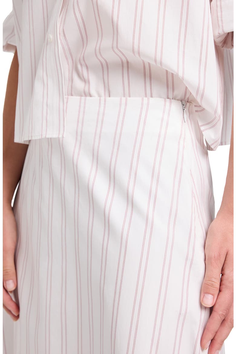 Stripe Cotton A-Line Skirt, Alternate, color, WHITE / WINE
