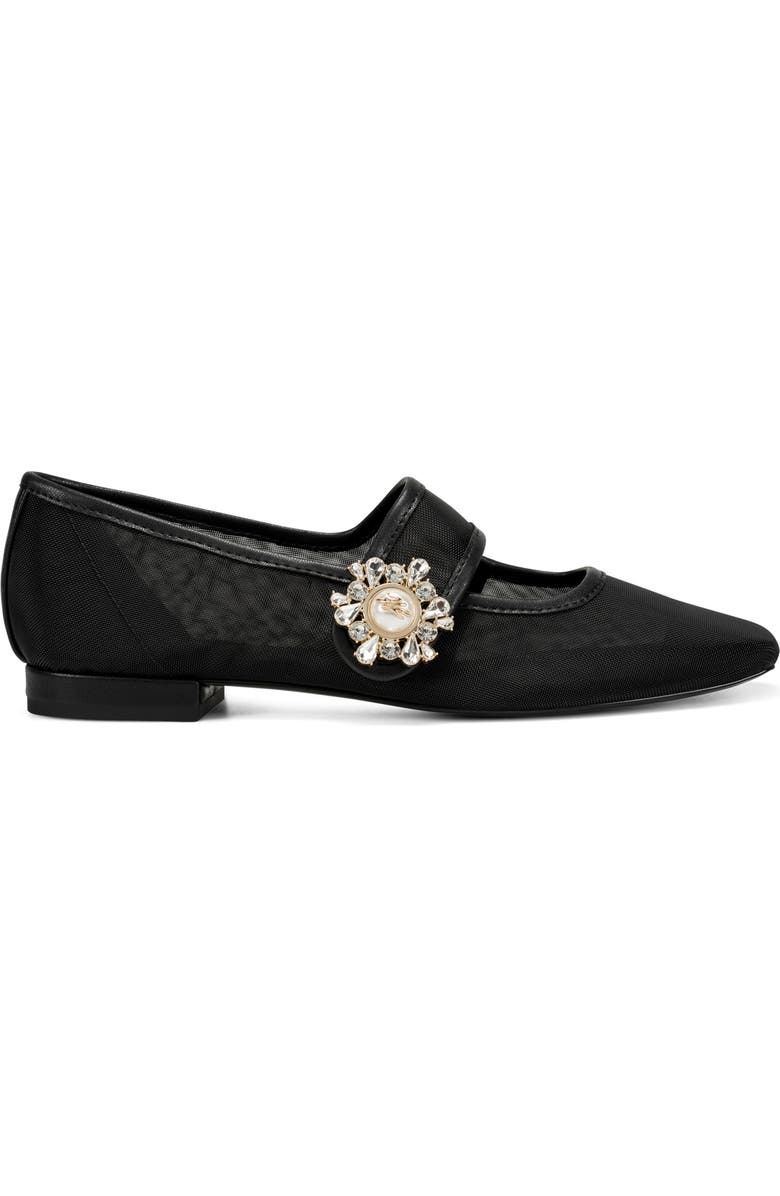 KARL LAGERFELD PARIS Sabelle Mary Jane Flat, Alternate, color, Black