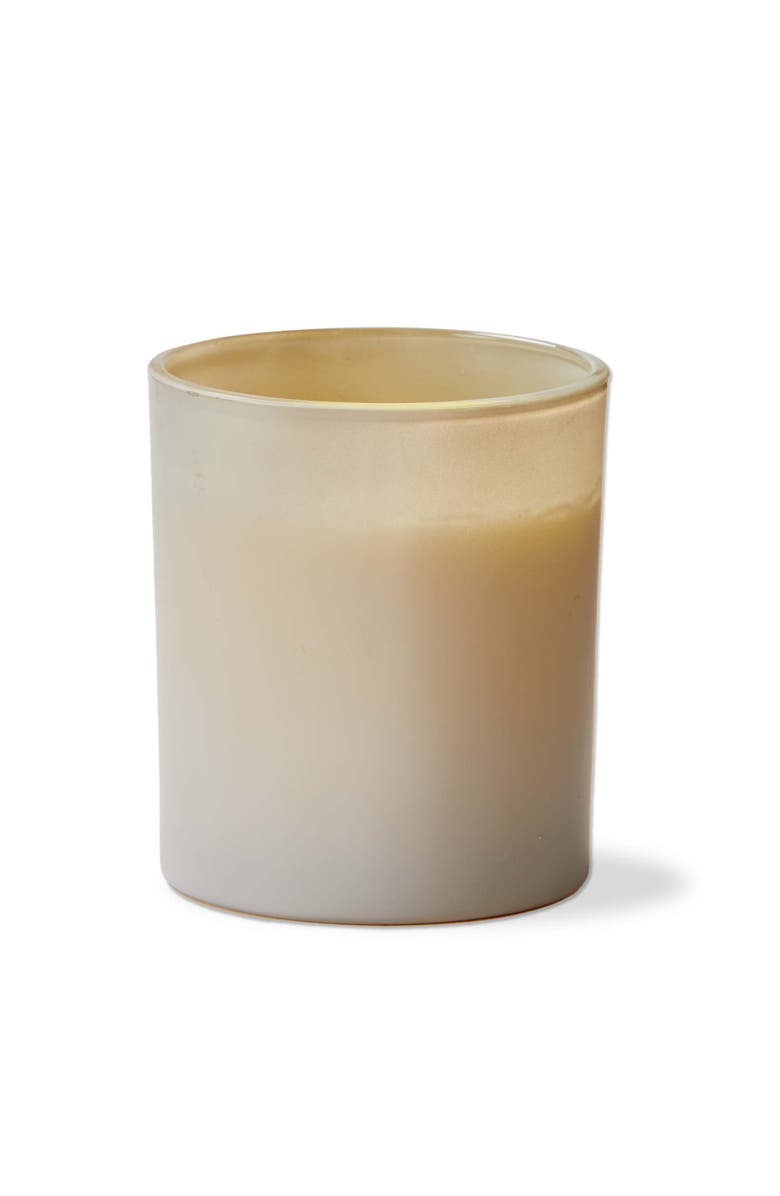 tag Wild Fern Roses Scented Candle Multicolor Wax Home Fragrance, Main, color, Multicolored