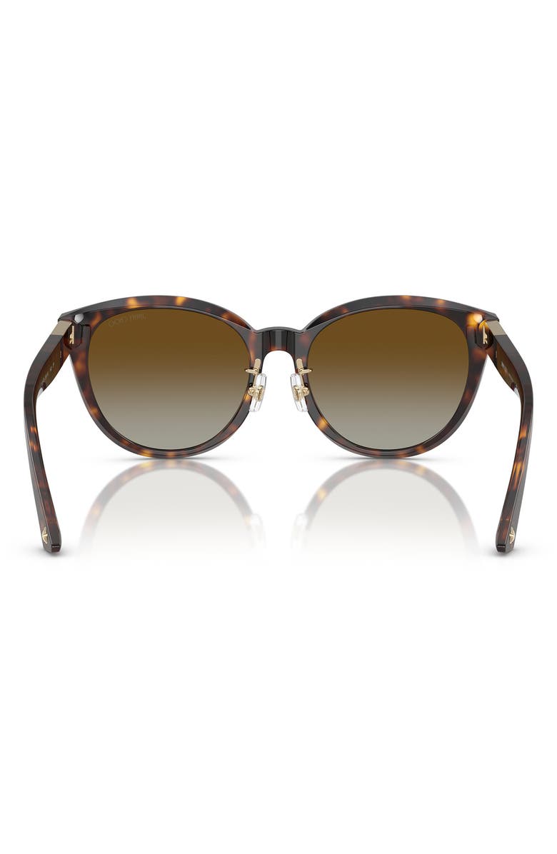 Jimmy Choo 55mm Phantos Sunglasses, Alternate, color, Havana 1