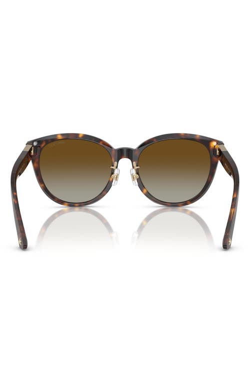 Jimmy Choo 55mm Phantos Sunglasses In Havana/brown Gradient