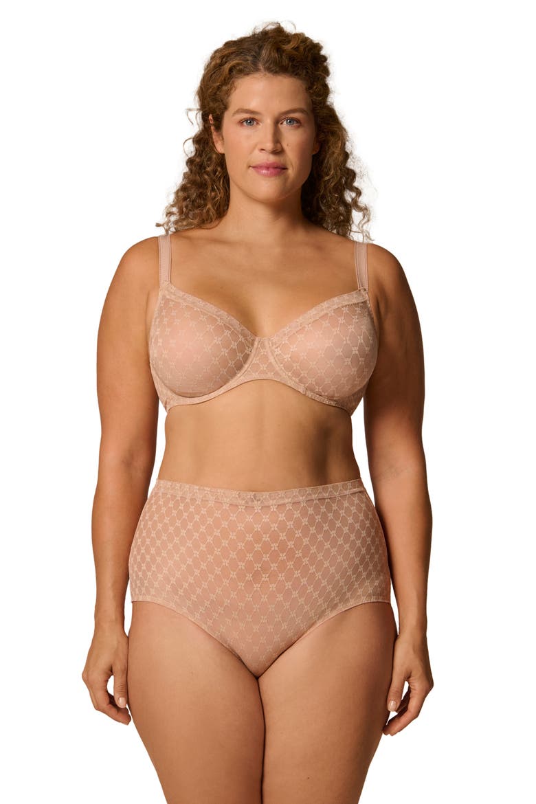 Plume Embroidered Shaping Briefs, Alternate, color, PEAU ROSE