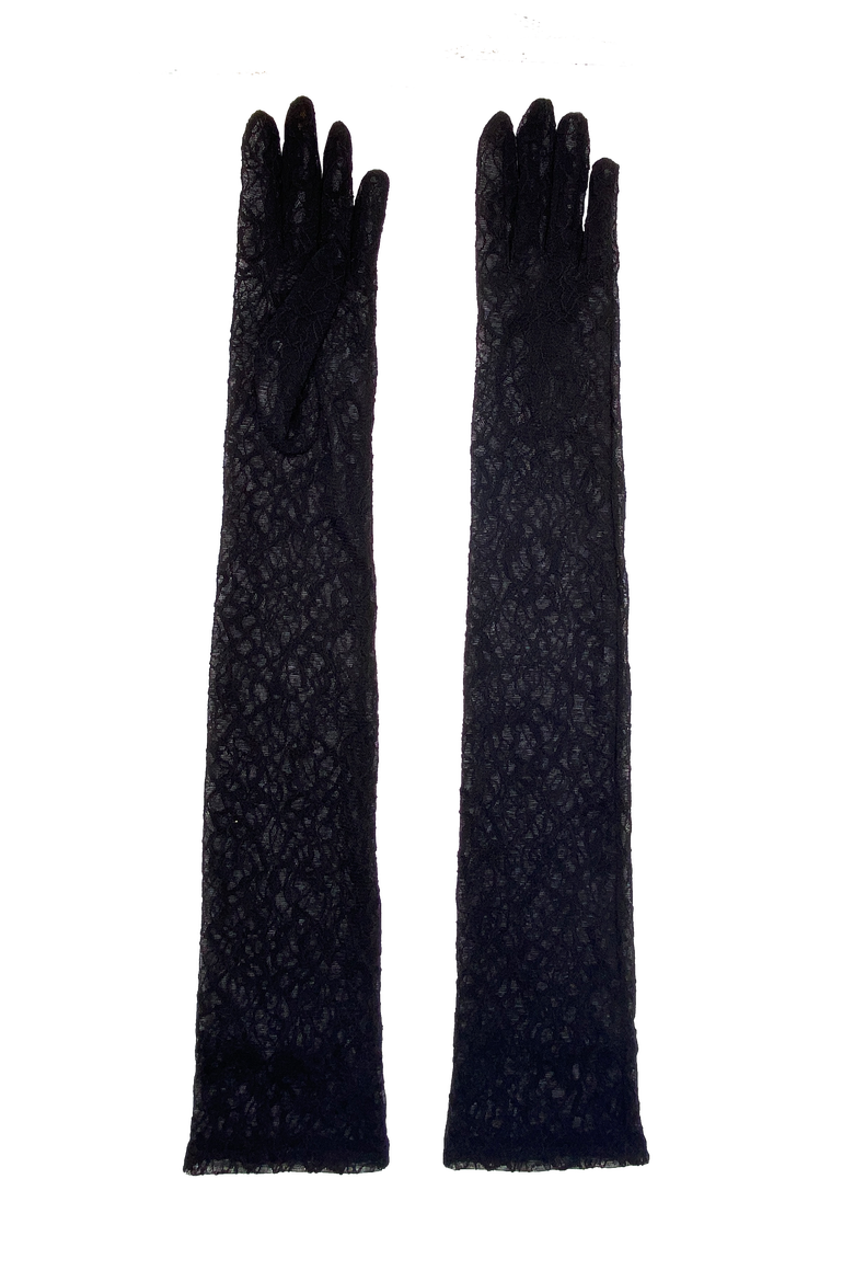 Long Lace Gloves, Main, color, Black
