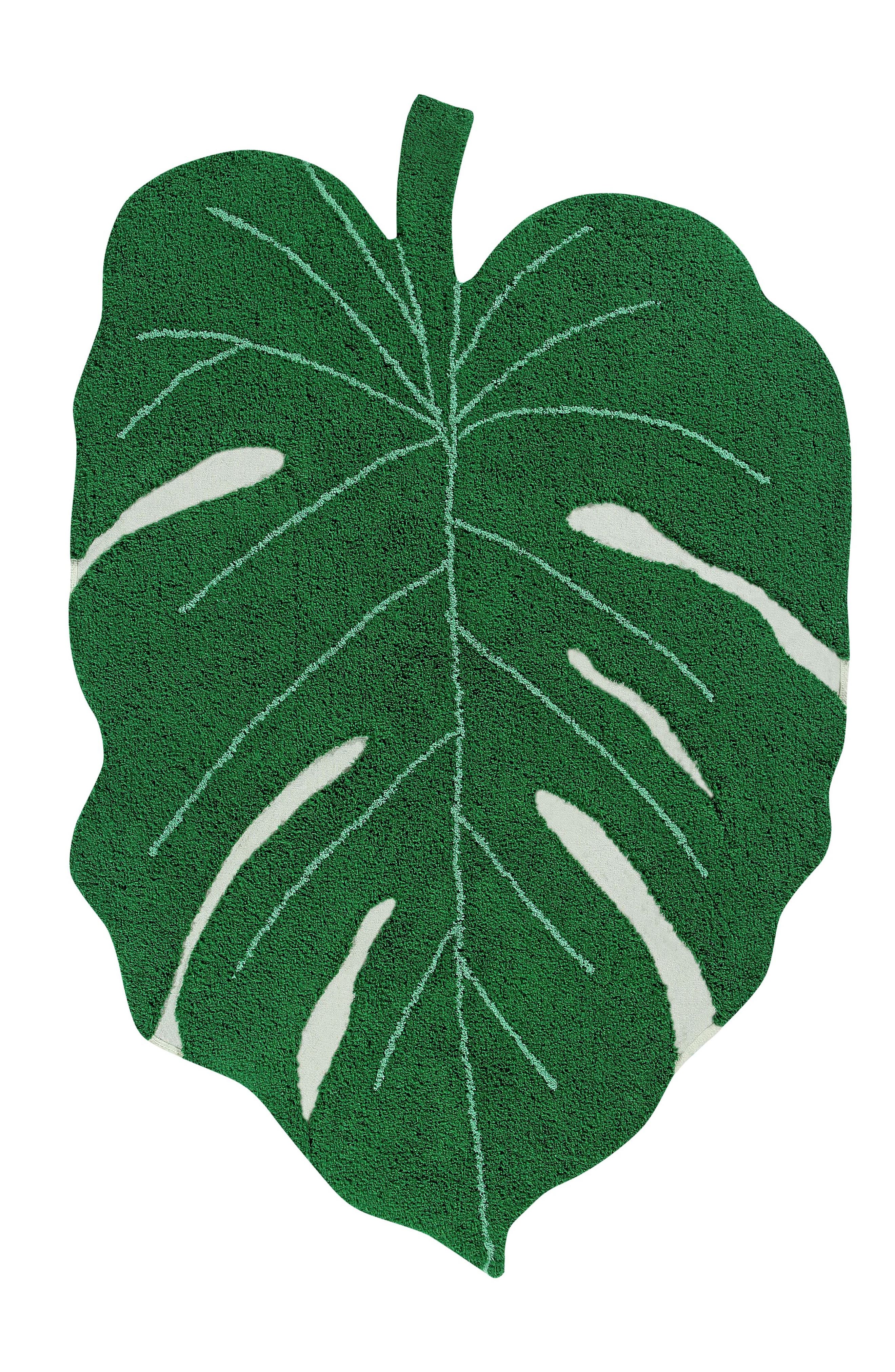 selected MONSTERA LEAF