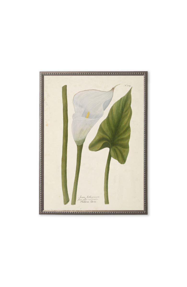 Antique Curiosities White Flower and Leaf in Silver-Beaded Frame, Main, color, Multi