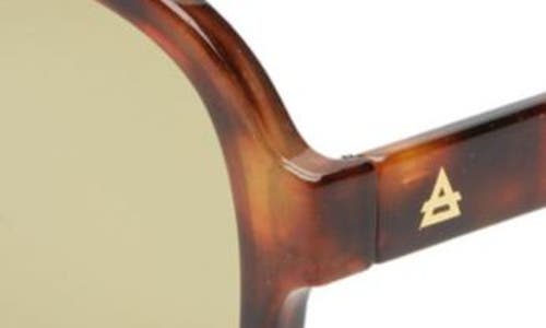 Aire Whirlpool 53mm Aviator Sunglasses In Brown
