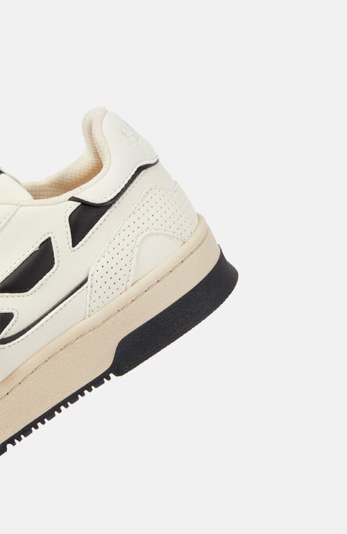 Saye M92 Bold In Black