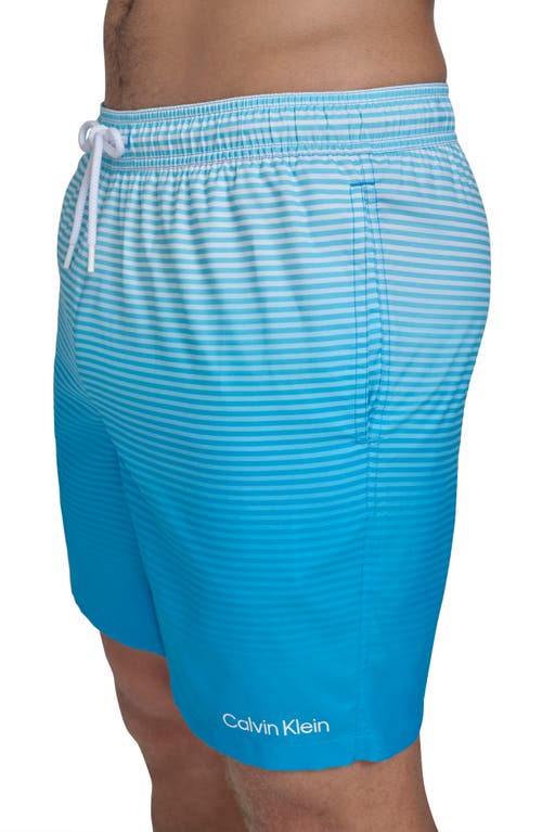 Calvin Klein Graphite Stripe Core Volley Swim Trunks In Blue