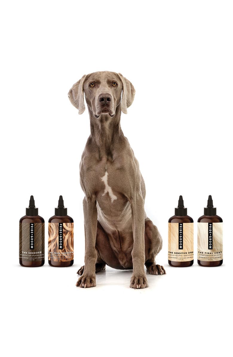 PRIDE+GROOM The Wash Sample Pack, Alternate, color, Brown