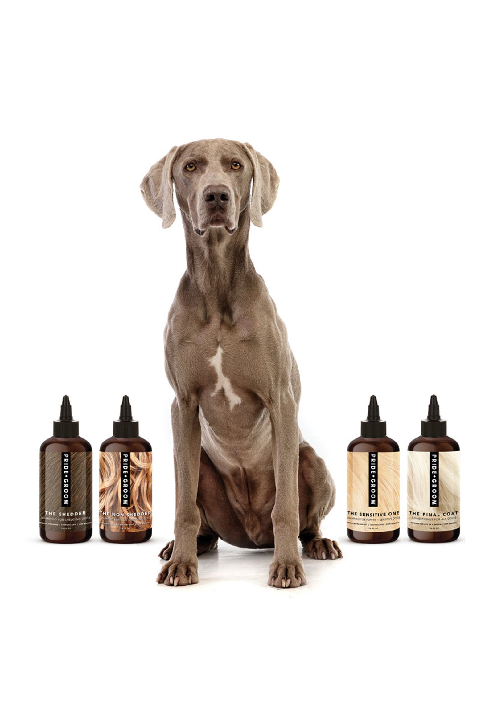 Sample Order Pad PRIDE+GROOM The Wash Sample Pack | Nordstrom