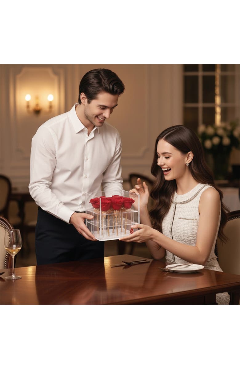 PURSONIC 9 Preserved Roses in Acrylic Box, Alternate, color, Red