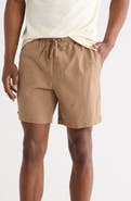 PacSun Reed Volley Shorts