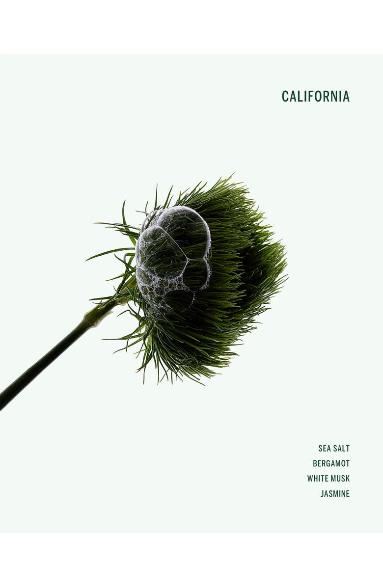 CORPUS Natural Deodorant, Alternate, color,