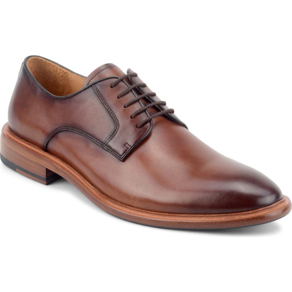 Warfield & Grand Legand Derby In Brown