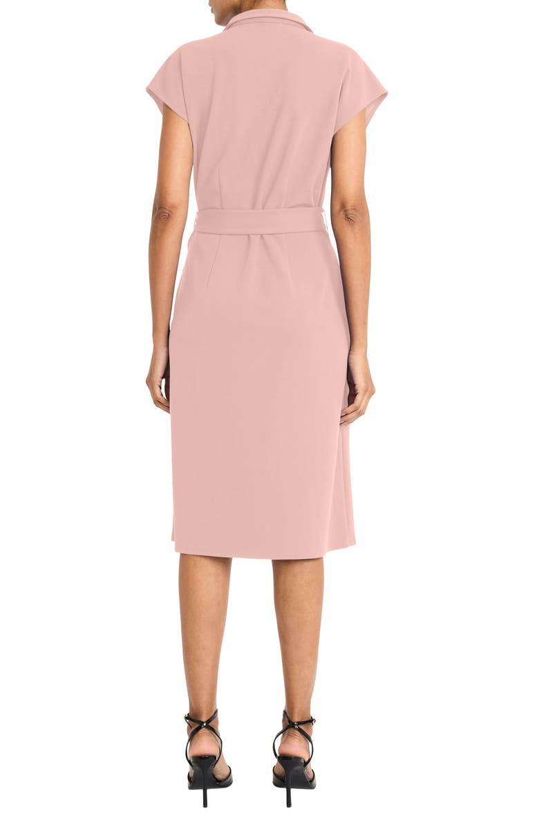 Maggy London Collared Midi A-Line Dress, Alternate, color, Shell Pink