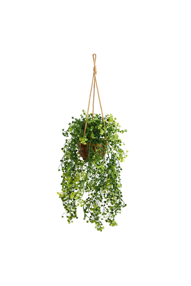 20-in Baby Tear Artificial Plant in Hanging Basket, Main, color, Green