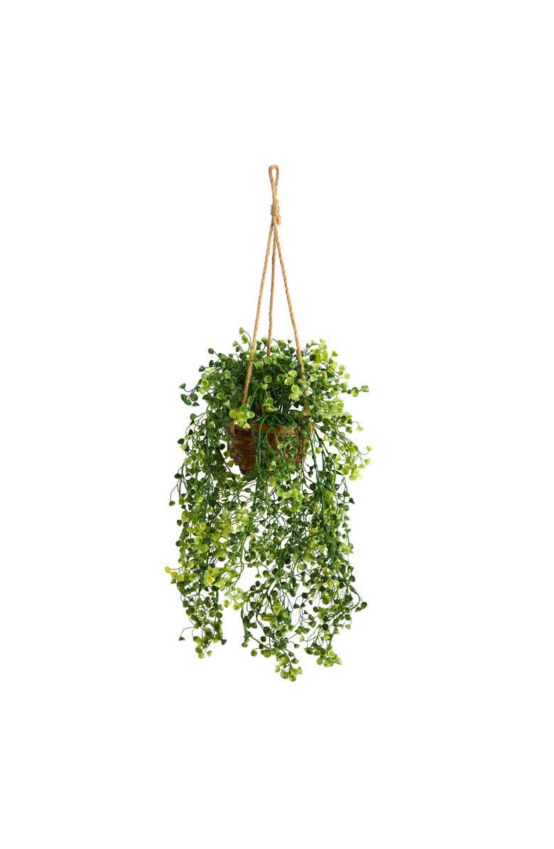 NEARLY NATURAL 20-in Baby Tear Artificial Plant in Hanging Basket, Main, color, Green