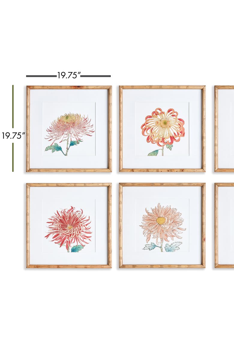 Napa Home & Garden Colorful Chrysanthemum Prints St/6, Alternate, color, Pink