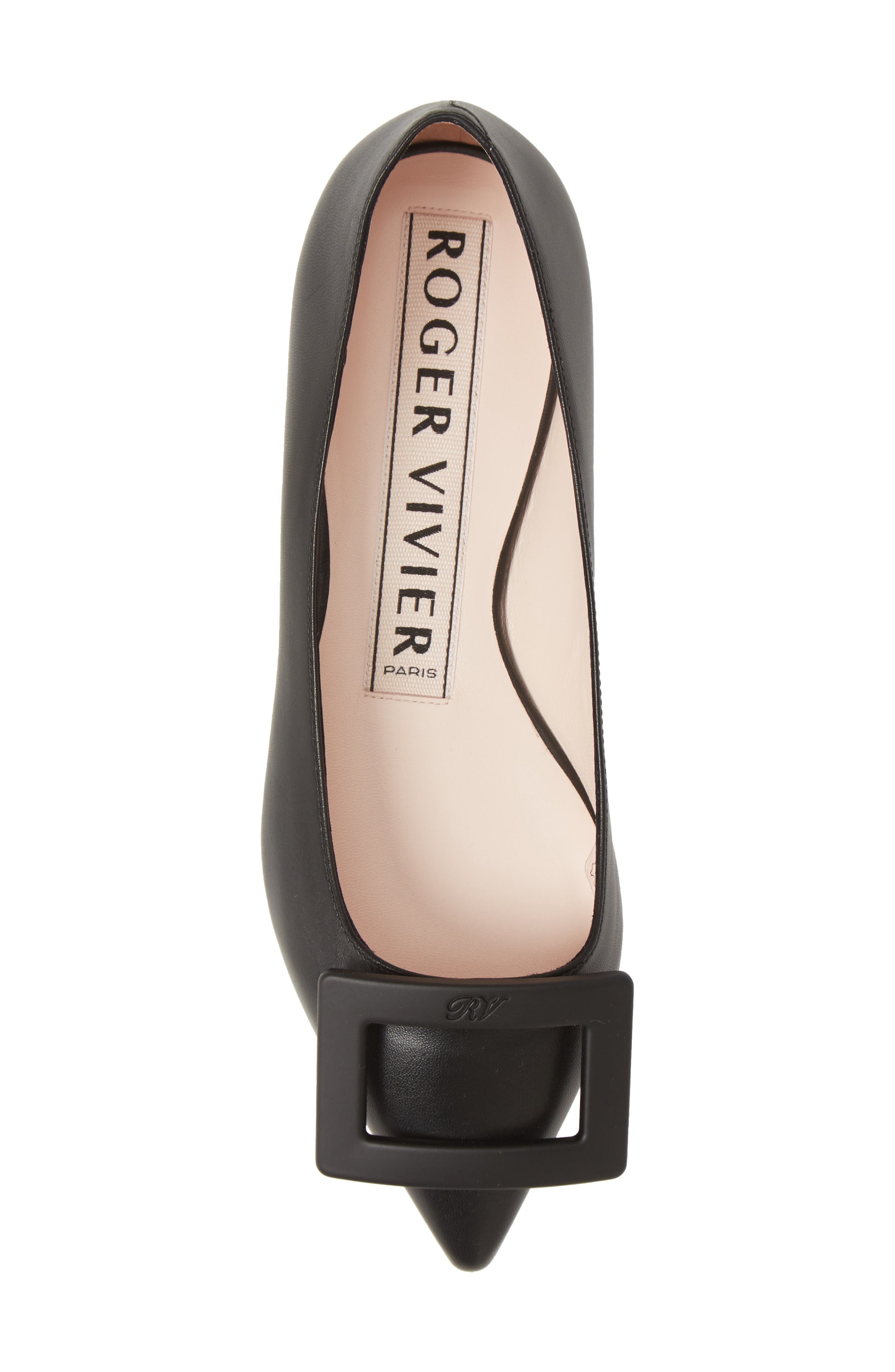 Roger Vivier Gommettine Buckle Pointed Toe Flat, Alternate, color, Black