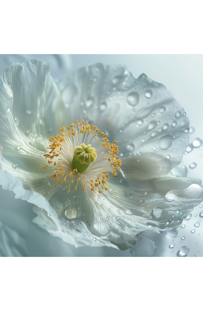 Leonor Greyl PARIS Voluforme Hair Spray for Volume & Hold, Alternate, color, 