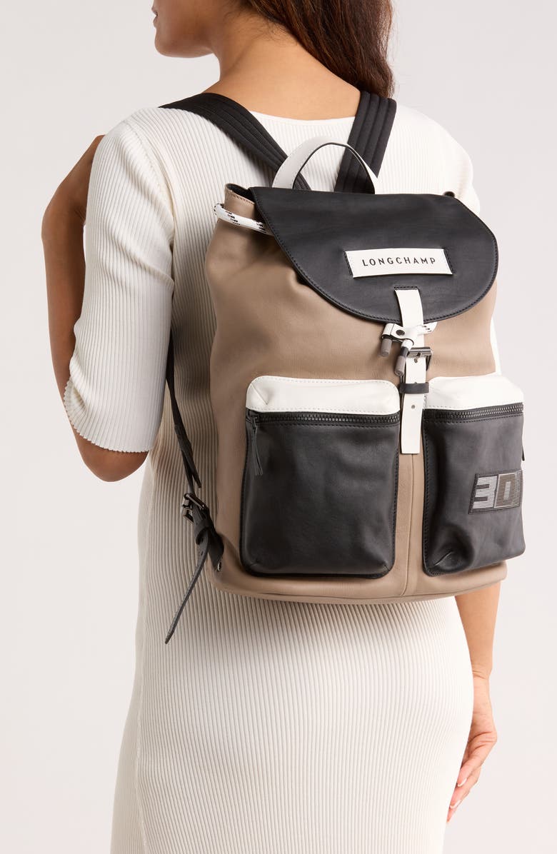 Longchamp 3D Colorblock Backpack, Alternate, color, Brown