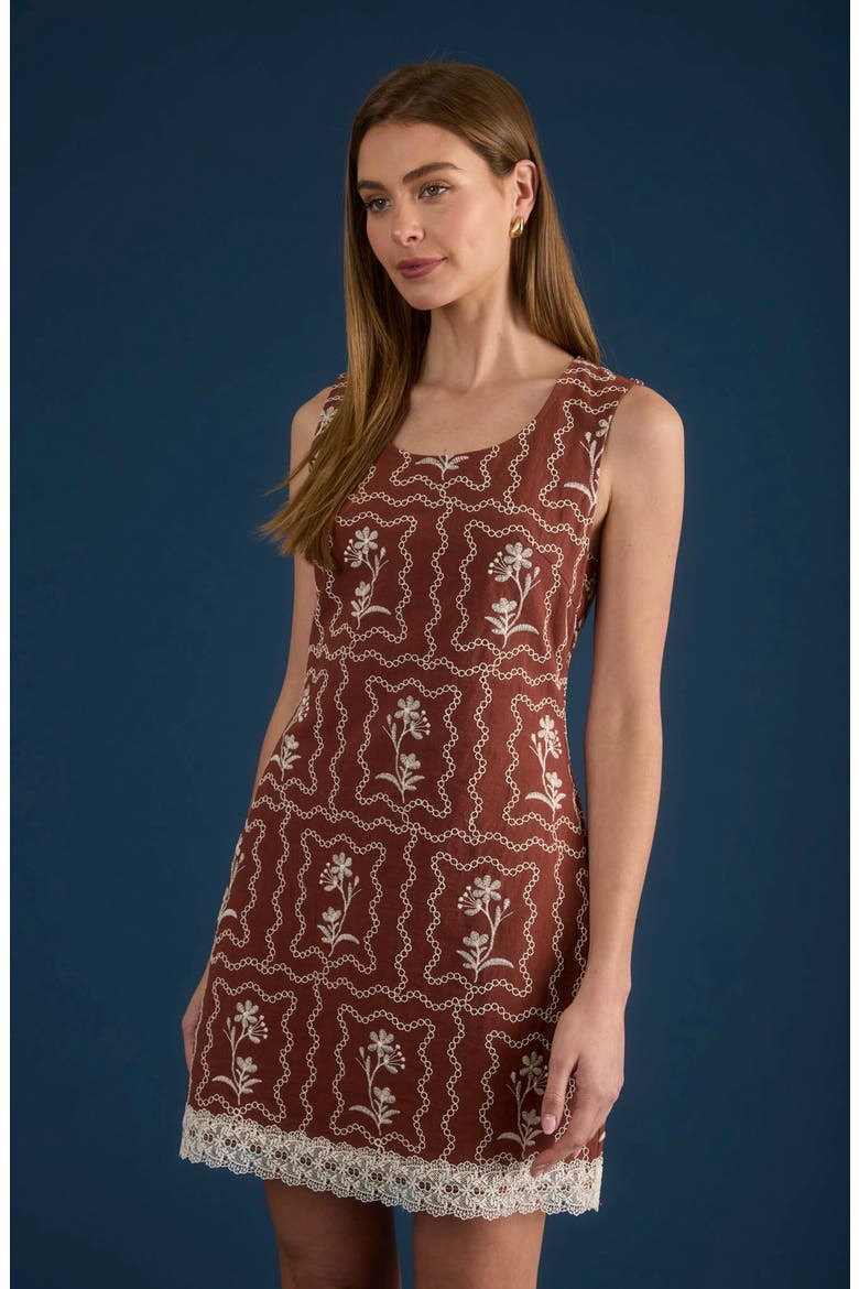 Embroidered Sleeveless Minidress, Alternate, color, BROWN