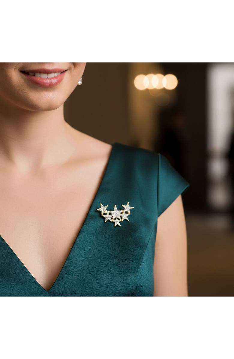 BLING JEWELRY Set of 2 Large Holiday Star Brooches, Alternate, color, Multicolor