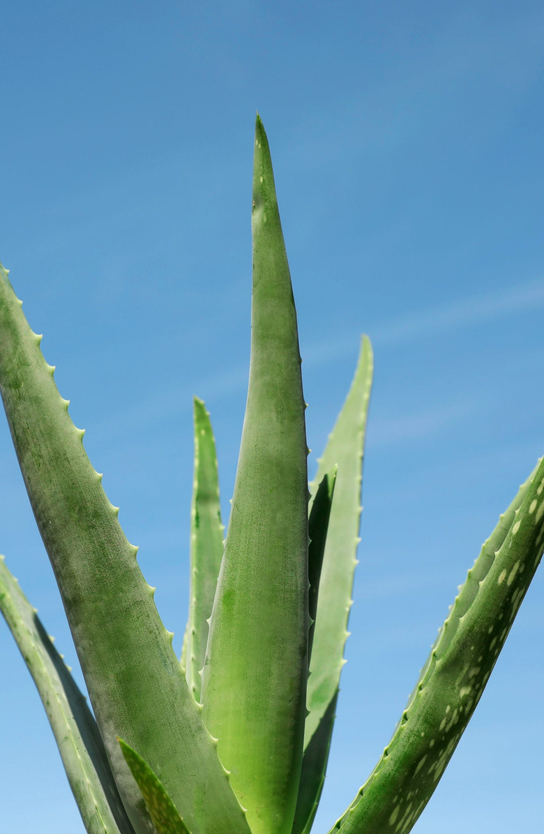 JURLIQUE Aloe Vera Hydrating Mist, Alternate, color, NO COLOR