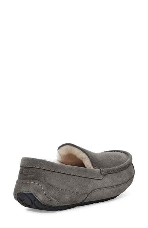 Ugg(r) Ascot Slipper