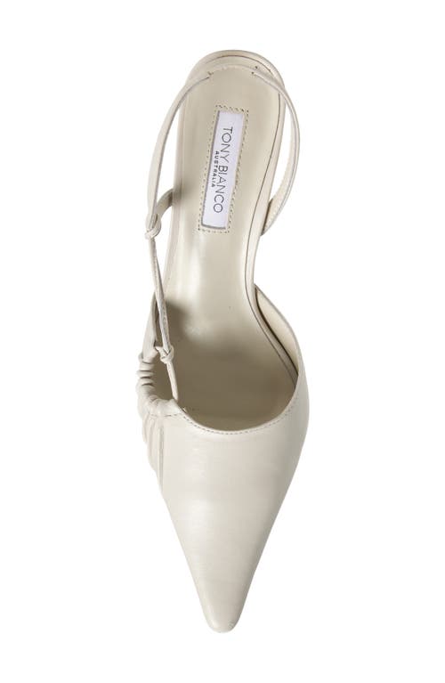 Tony Bianco Sakai Slingback Pointed Toe Pump In Dove Nappa
