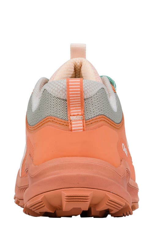 Oboz Katabatic Low Hiking Sneaker In Nectar